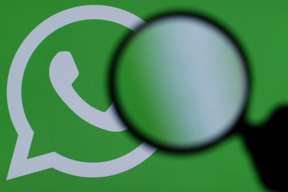 Best Way to Spy on WhatsApp Without Target Device